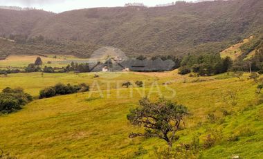 HACIENDA EN VENTA, YACUDEL
