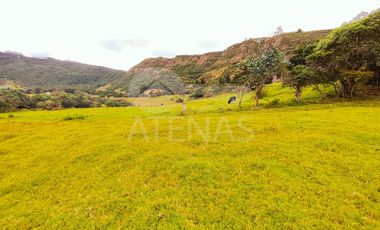 HACIENDA EN VENTA, YACUDEL