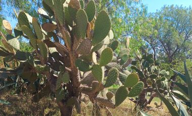 Venta de Terreno en Amanali Country Club & Náutica