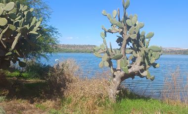 Venta de Terreno en Amanali Country Club & Náutica