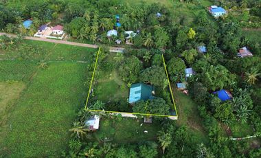 Fenced Property With Native House