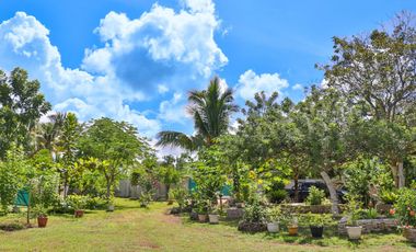 Fenced Property With Native House