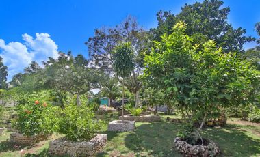 Fenced Property With Native House