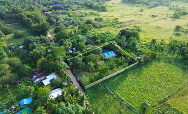 Fenced Property With Native House