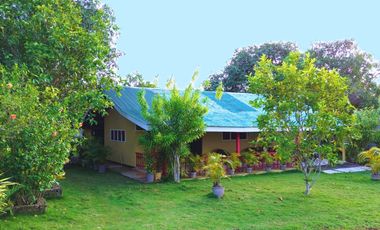 Fenced Property With Native House