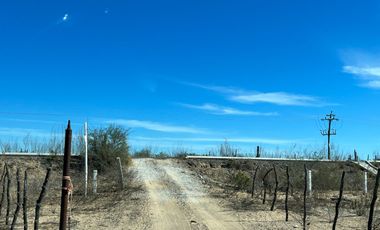 El Mezquite de Don Dominguez km 43, Comondu