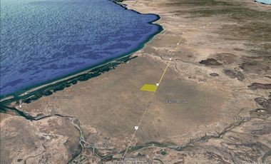 El Mezquite de Don Dominguez km 43, Comondu