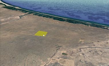 El Mezquite de Don Dominguez km 43, Comondu