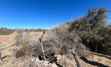 El Mezquite de Don Dominguez km 43, Comondu