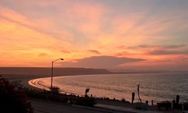 El Mezquite de Don Dominguez km 43, Comondu