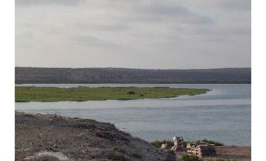 El Mezquite de Don Dominguez km 43, Comondu