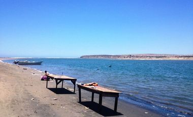 El Mezquite de Don Dominguez km 43, Comondu