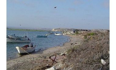 El Mezquite de Don Dominguez km 43, Comondu