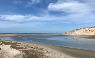 El Mezquite de Don Dominguez km 43, Comondu