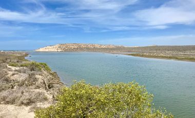 El Mezquite de Don Dominguez km 43, Comondu