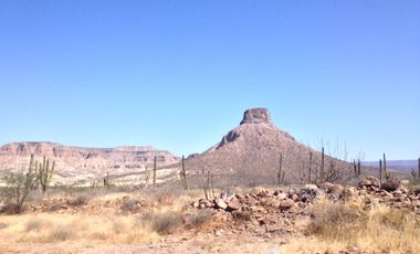 El Mezquite de Don Dominguez km 43, Comondu