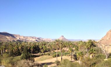 El Mezquite de Don Dominguez km 43, Comondu