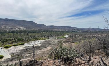 El Mezquite de Don Dominguez km 43, Comondu