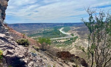 El Mezquite de Don Dominguez km 43, Comondu
