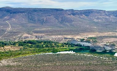 El Mezquite de Don Dominguez km 43, Comondu