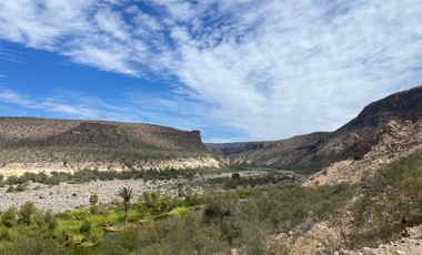 El Mezquite de Don Dominguez km 43, Comondu