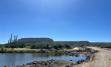 El Mezquite de Don Dominguez km 43, Comondu