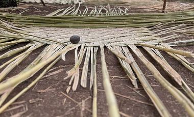 El Mezquite de Don Dominguez km 43, Comondu