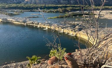 El Mezquite de Don Dominguez km 43, Comondu