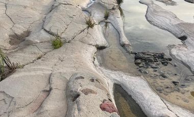 El Mezquite de Don Dominguez km 43, Comondu