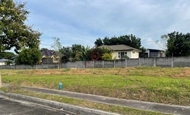 SL54 FOR SALE 240 sqm Residential Lot in Pahara Southwoods, Cavite