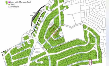 SL54 FOR SALE 240 sqm Residential Lot in Pahara Southwoods, Cavite