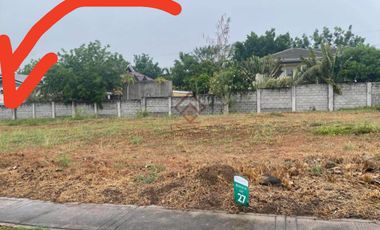 SL54 FOR SALE 240 sqm Residential Lot in Pahara Southwoods, Cavite