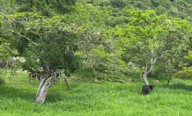 Finca El Mirador de los Yariguies, Barichara, Colombia