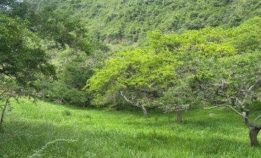 Finca El Mirador de los Yariguies, Barichara, Colombia