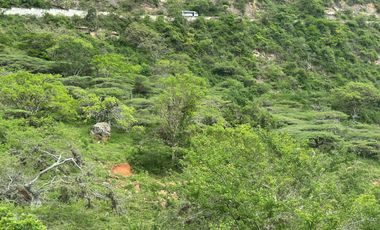 Finca El Mirador de los Yariguies, Barichara, Colombia
