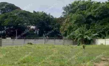 Disewakan Kavling di Sunter Papanggo lingkungan asri