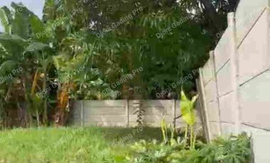 Disewakan Kavling di Sunter Papanggo lingkungan asri