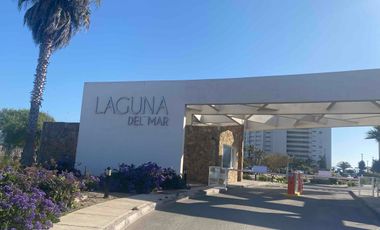 Arriendo DIARIO en Laguna del Mar desde noviembre.