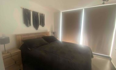 Arriendo DIARIO en Laguna del Mar desde noviembre.