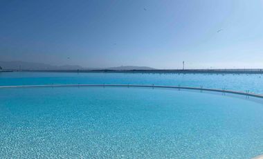 Arriendo DIARIO en Laguna del Mar desde noviembre.