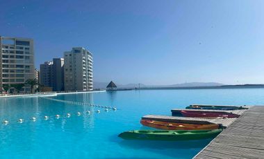 Arriendo DIARIO en Laguna del Mar desde noviembre.