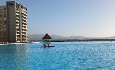 Arriendo DIARIO en Laguna del Mar desde noviembre.