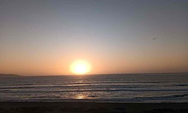 Arriendo DIARIO en Laguna del Mar desde noviembre.