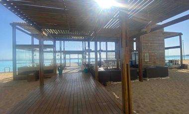 Arriendo DIARIO en Laguna del Mar desde noviembre.