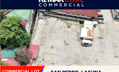 FOR LEASE: Commercial Lot in San Pedro, Laguna