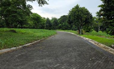 SANTIERRA NUVALI, LAGUNA