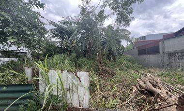 Lot for Sale in Marcelo Green Village Parañaque — 238 SQ.M