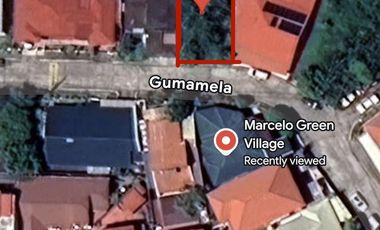 Lot for Sale in Marcelo Green Village Parañaque — 238 SQ.M