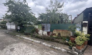 Lot for Sale in Marcelo Green Village Parañaque — 238 SQ.M