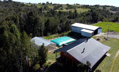 Campo con casa en Caleta Estaquilla – Los Muermos, Región de Los Lagos